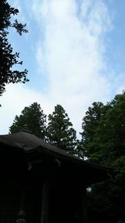 DSC_7416.jpg